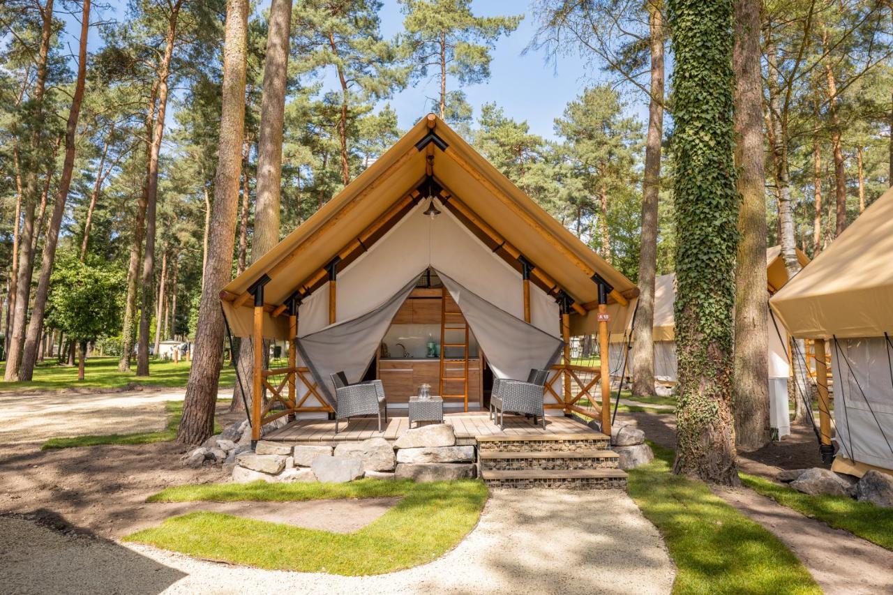 Europarcs Hoge Kempen زوتيندال الغرفة الصورة